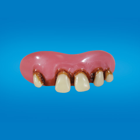 (image for) Betty Bob Teeth - Click Image to Close